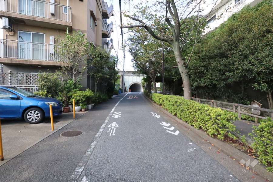 前面道路(東側)