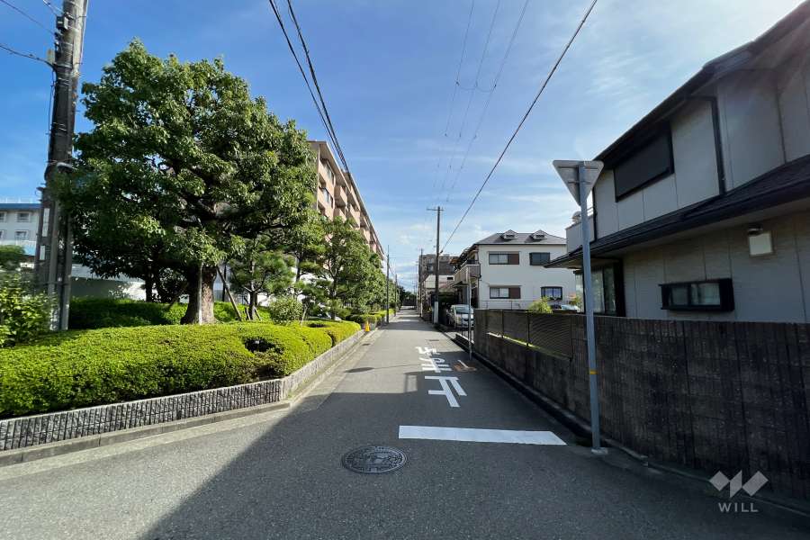 敷地西側の前面道路(北側から)