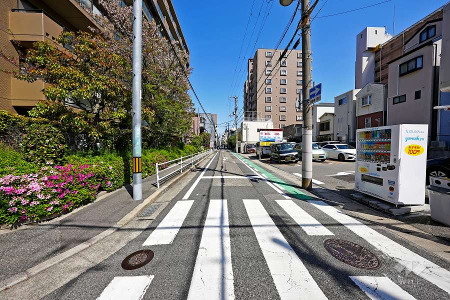 南側前面道路（西側から）