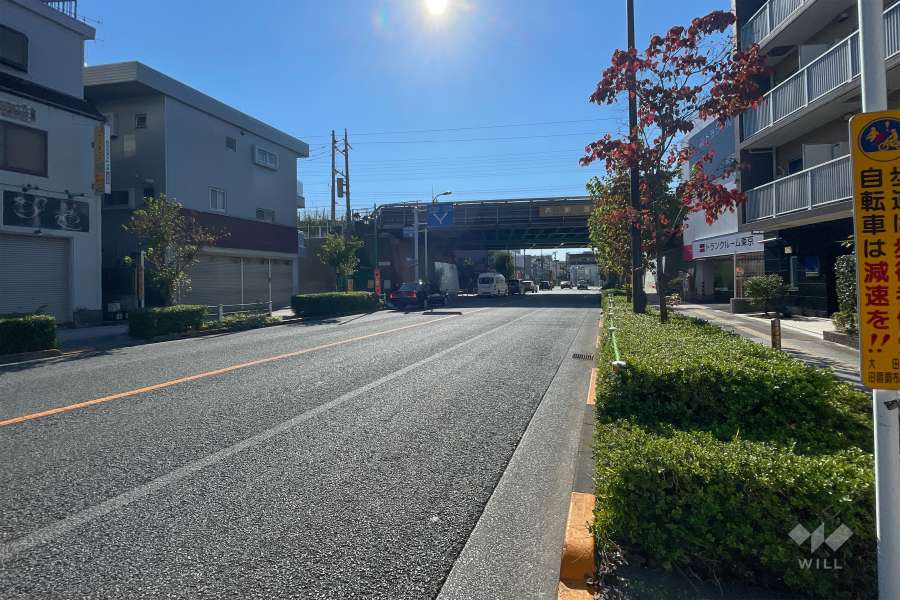 敷地東側の前面道路（北側から）