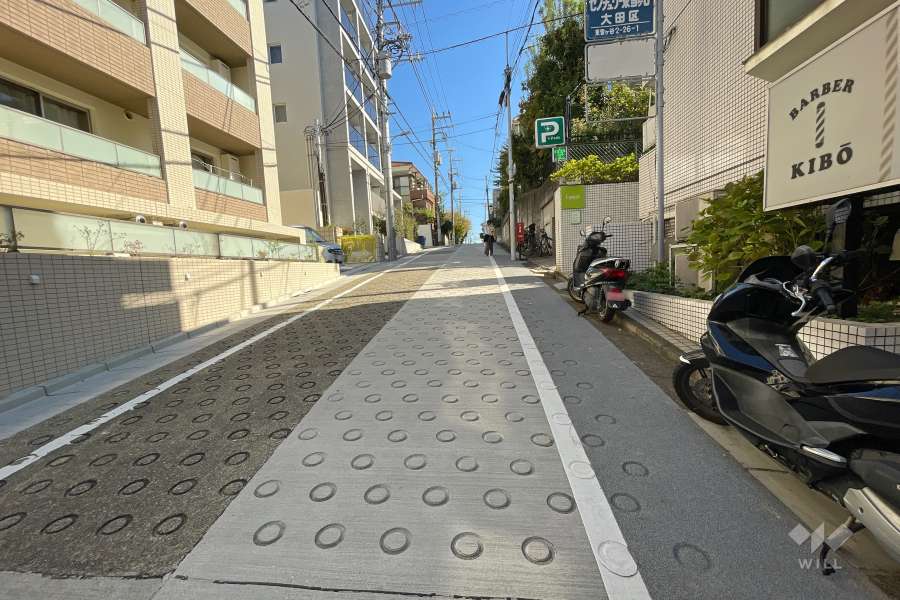 敷地北西側の前面道路（南西側から）