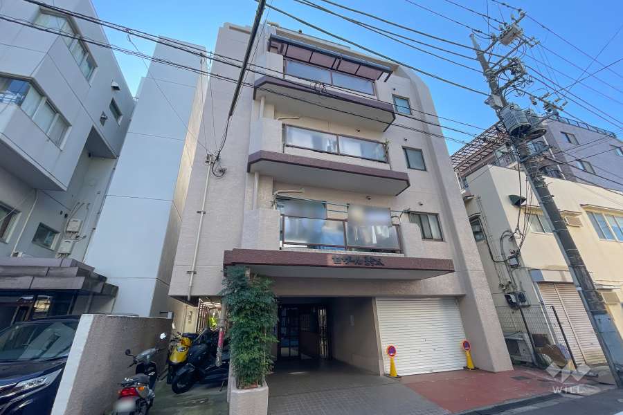 セザール東雪谷の外観（北東側から）