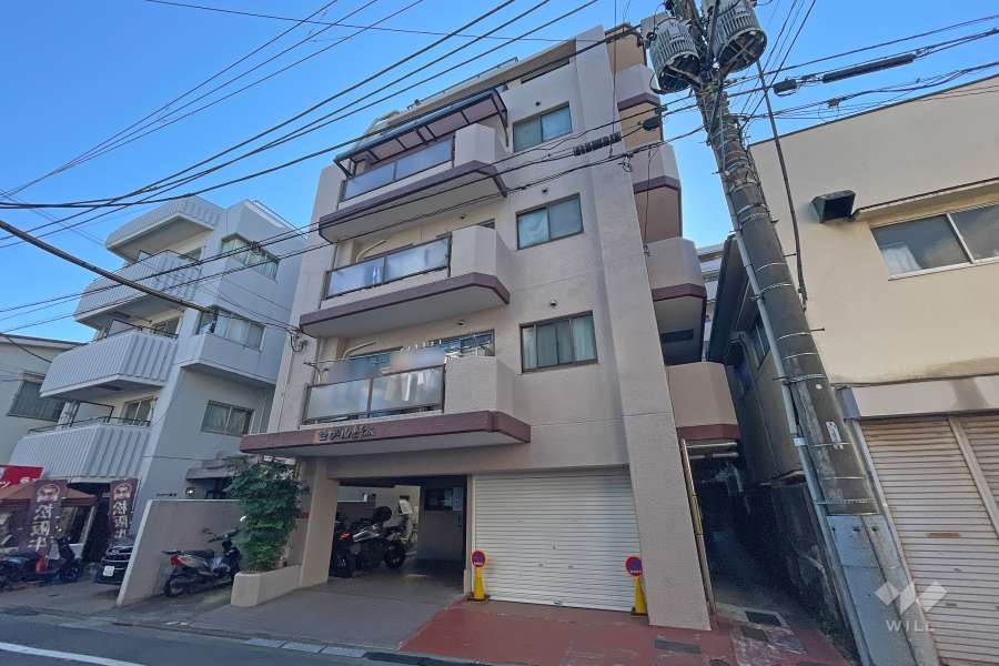 セザール東雪谷の外観（北西側から）