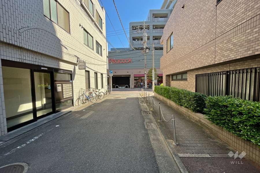 敷地北側の前面道路（西側から）