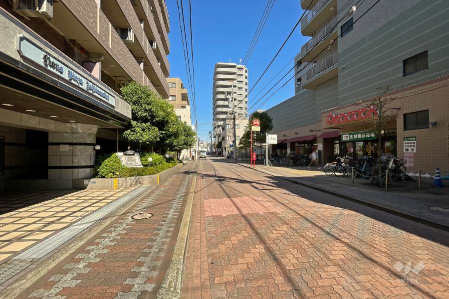 敷地東側の前面道路（南側から）