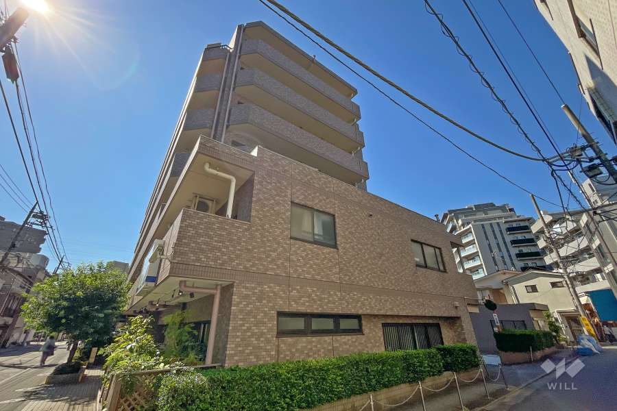 ライオンズプラザ石川台の外観（北側から）