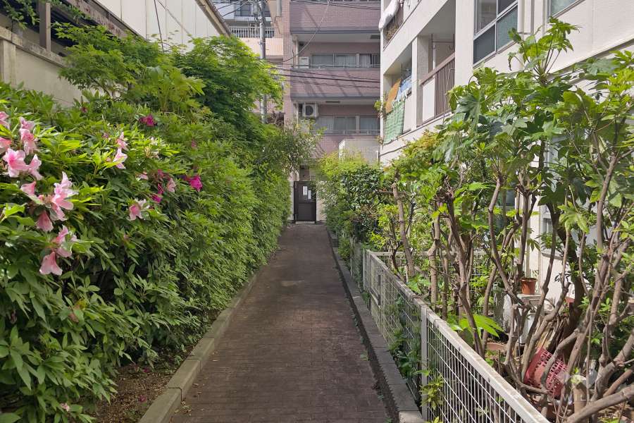 敷地内の通路