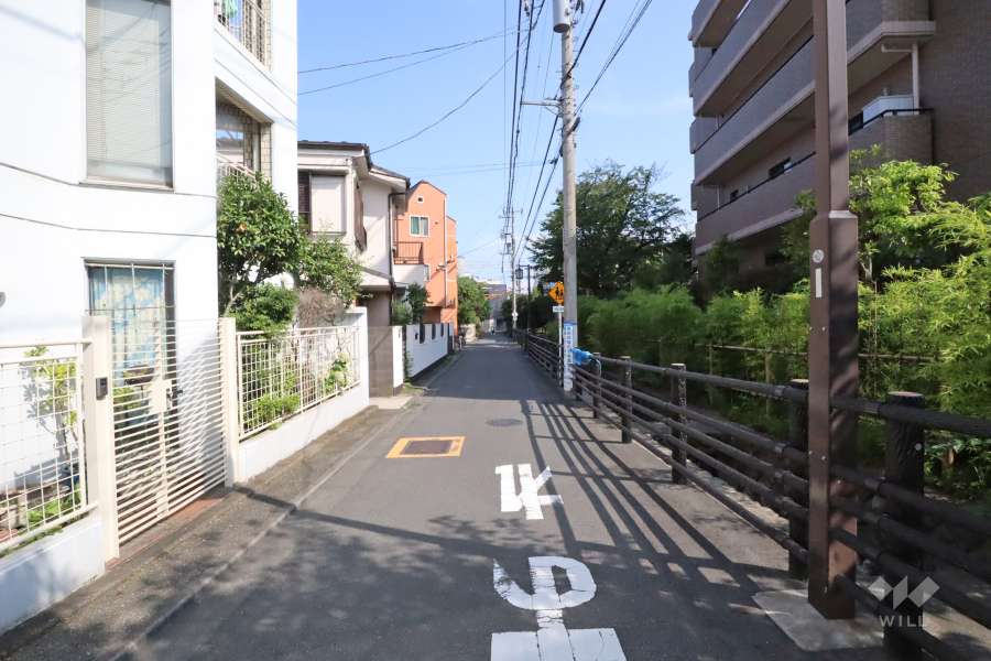 敷地北東側の前面道路(北西側から)