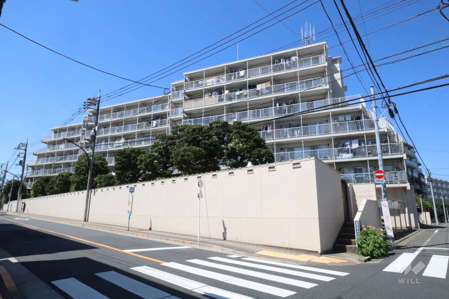 雪ヶ谷ハイムの外観(南側から)