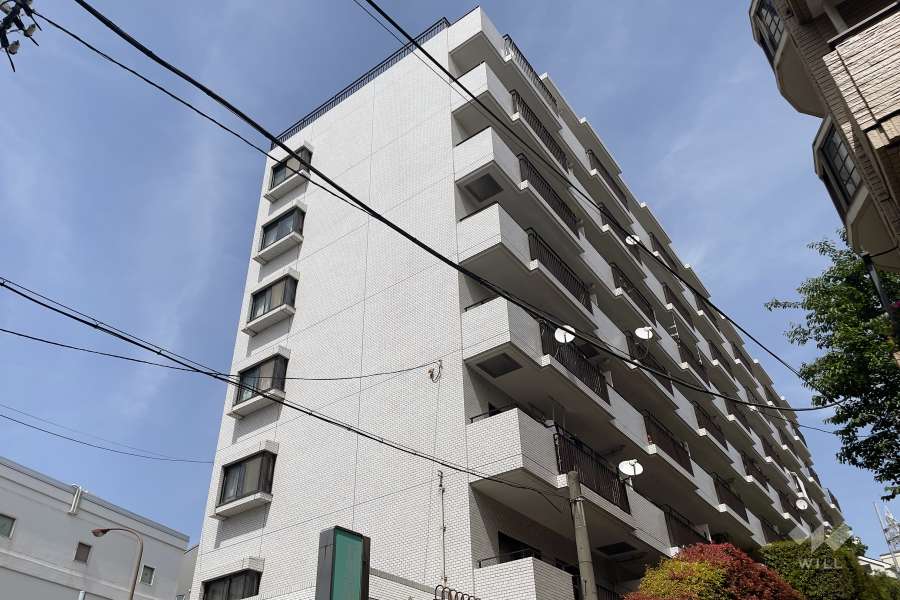 東急ドエルデュエット石川台の外観（南側から）　