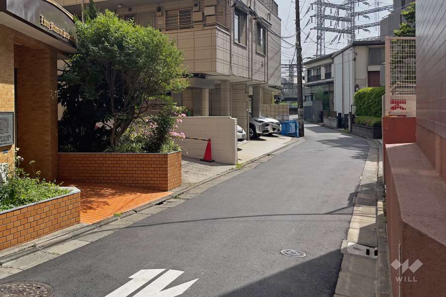 敷地西側の前面道路（北側から）