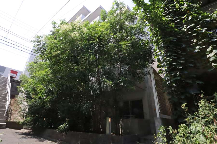 プレールドゥーク馬込の外観(北東側から)