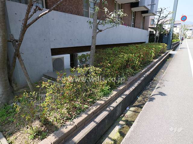 敷地の道路側には植栽スペースが設けられています。