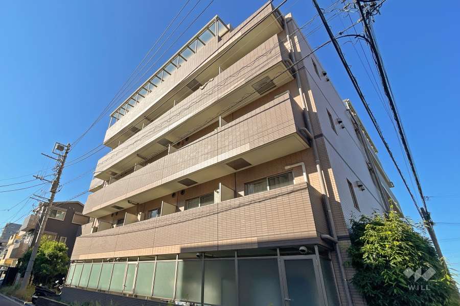 メインステージ多摩川の外観（南側から）