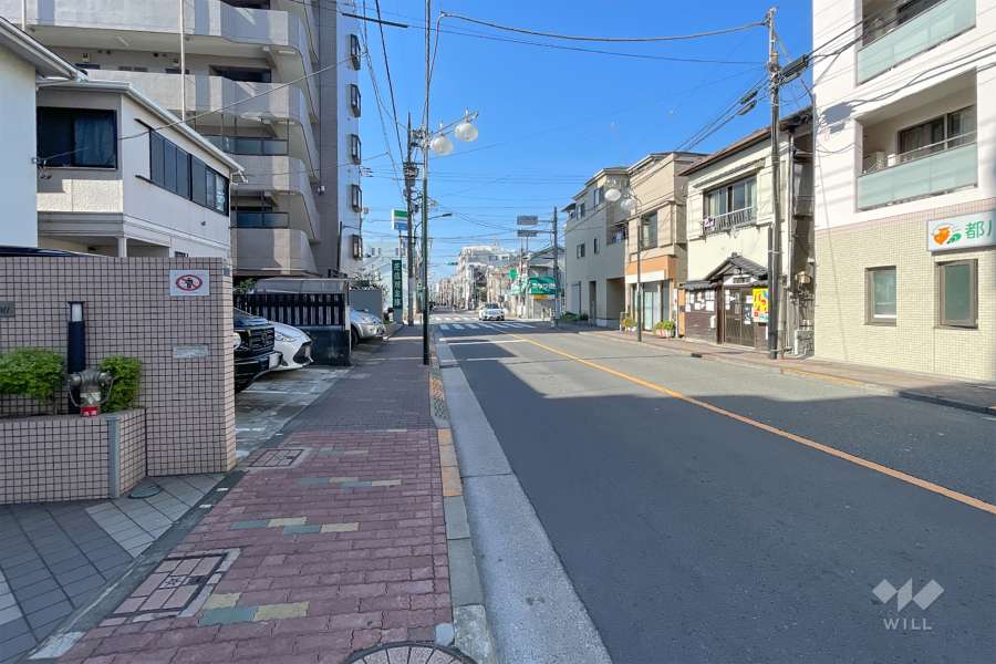 敷地北側の前面道路