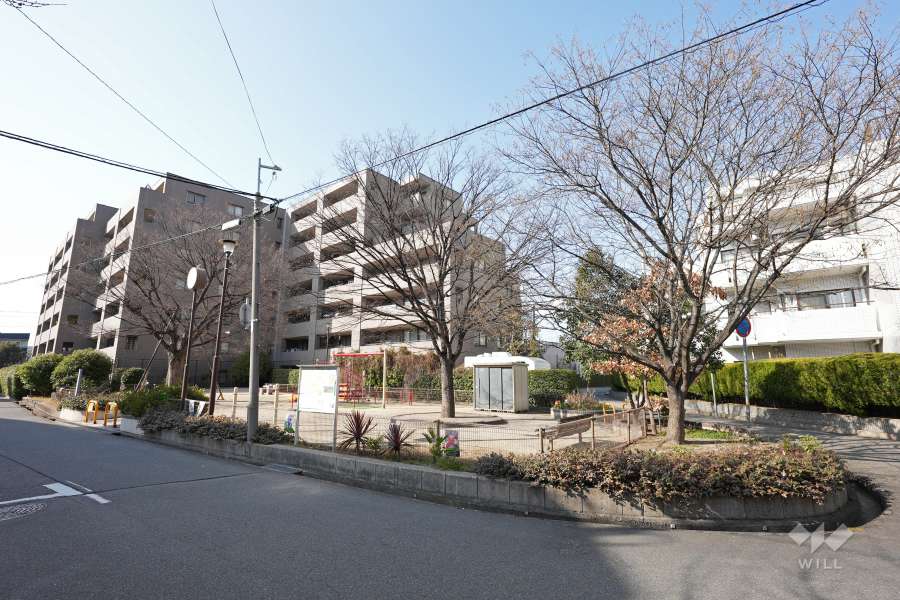 目の前に『こまつケヤキ公園』があります。