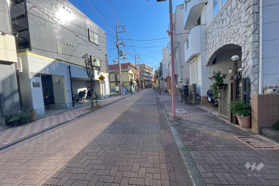 敷地東側の前面道路（北側から）