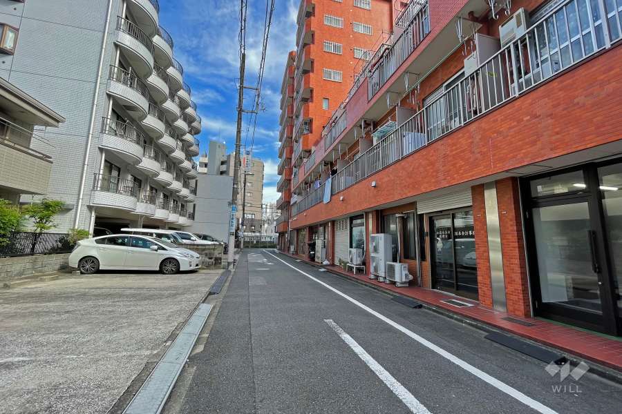 敷地北側の前面道路（西側から）