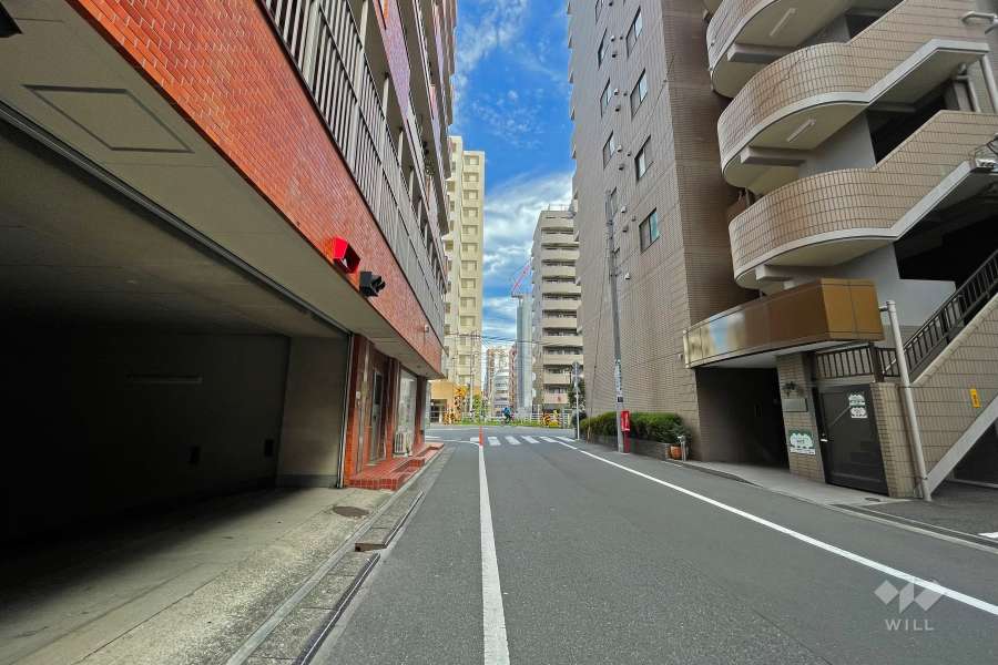 敷地南側の前面道路（西側から）