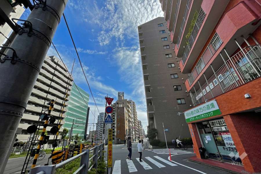 敷地東側の前面道路（北側から）