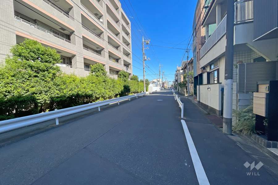 敷地南側の前面道路（西側から）