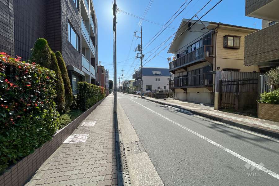 敷地西側の前面道路（北側から）