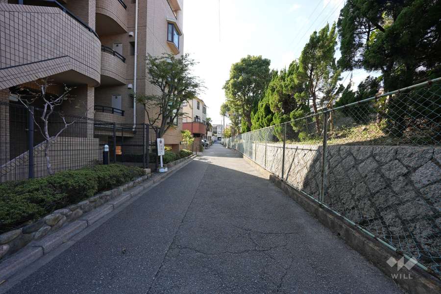 敷地北側の前面道路（東側から）