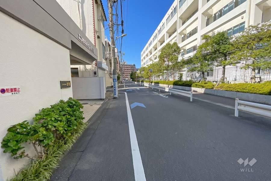 敷地北東側の前面道路（南東側から）