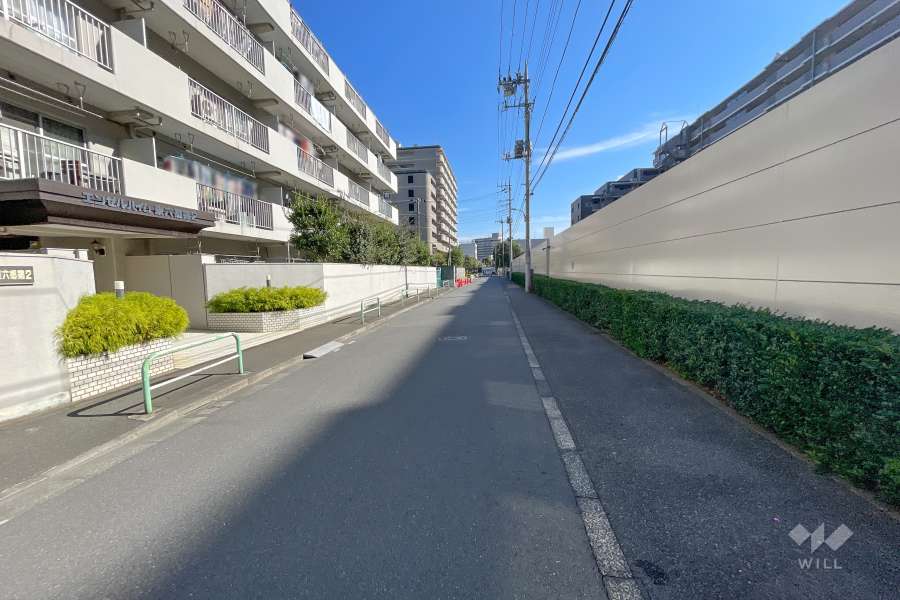 敷地南西側の前面道路（北西側から）