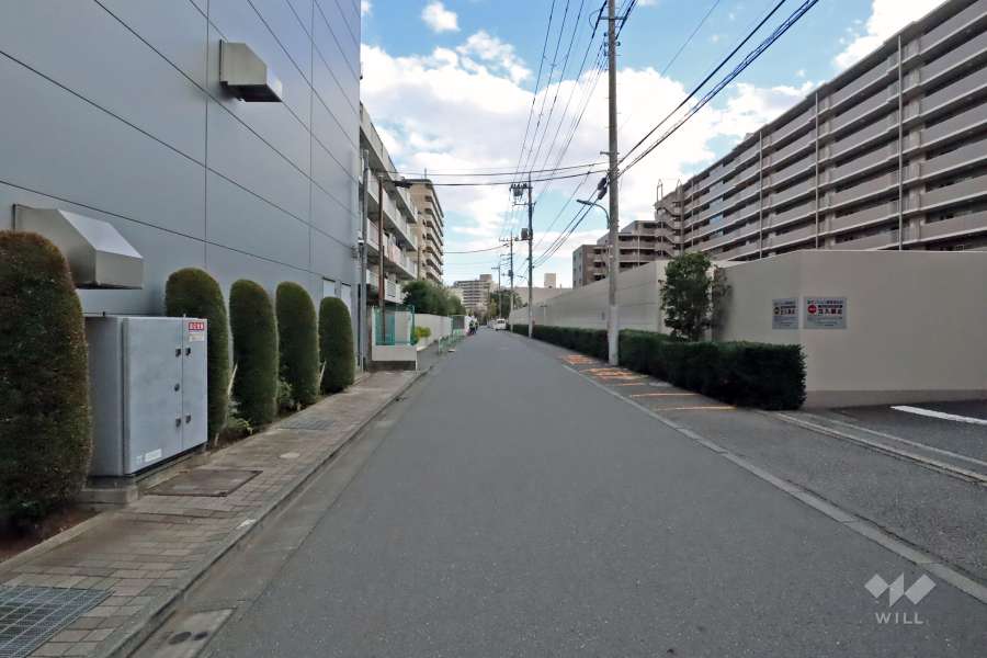 敷地北東側の前面道路(北西側から)