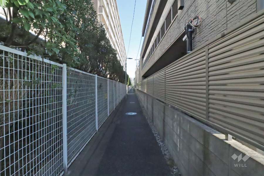 敷地南西側の前面道路(南東側から)