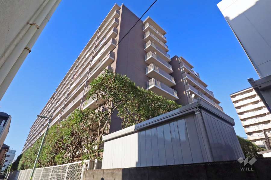 フェアコート多摩川の外観(南東側から)