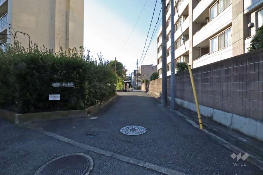 敷地南側の前面道路（東側から）