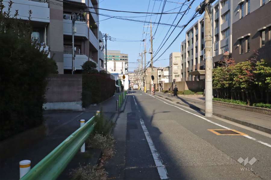 敷地南東側の前面道路（南西側から）