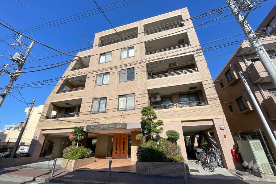 セザール蒲田南の外観（南東側から）