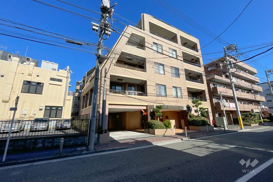 セザール蒲田南の外観（南西側から）