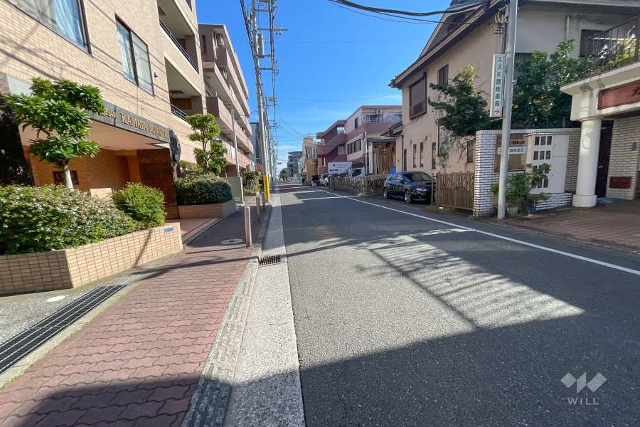 敷地南西側の前面道路（北西側から）