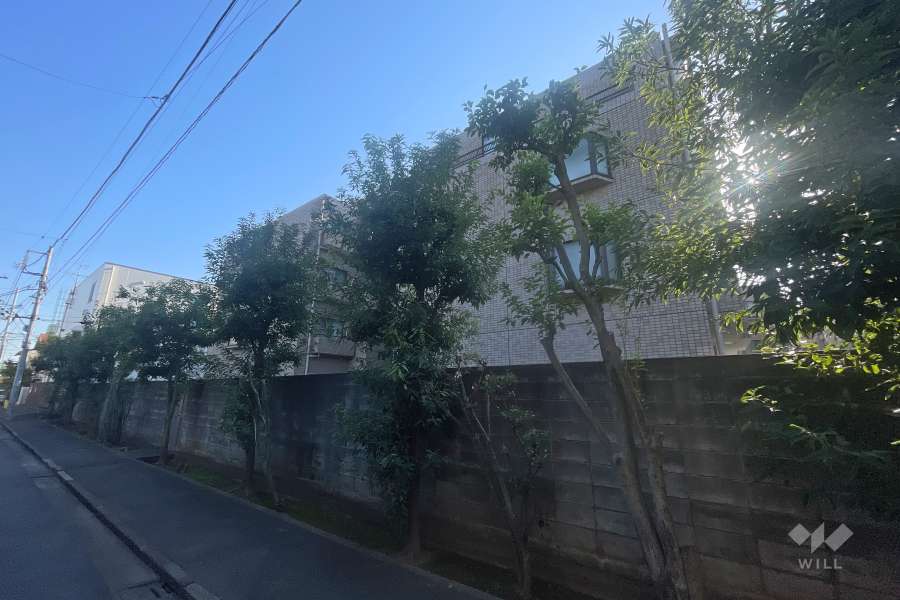 ベルヴィサンハイツの外観（北側から）