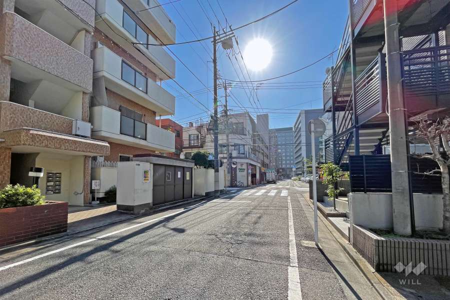 敷地の西側前面道路（北側から）