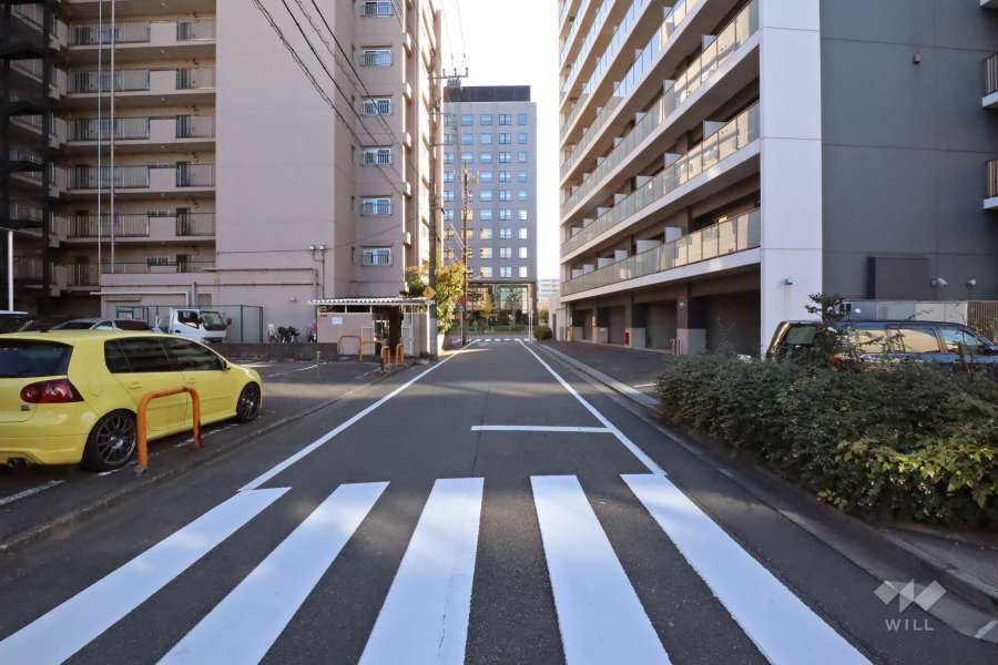 敷地西側の前面道路(北側から)