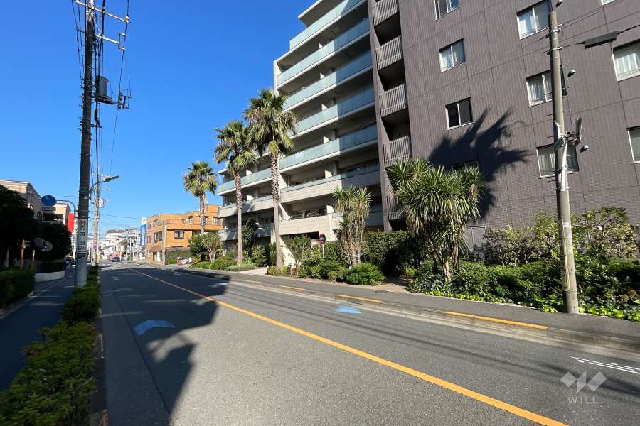 敷地西側の前面道路
