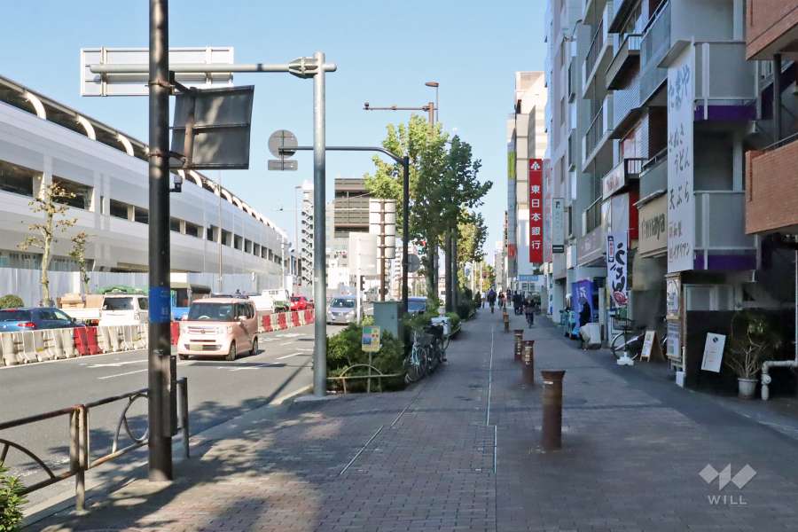 敷地北西側前面道路(南西側から)