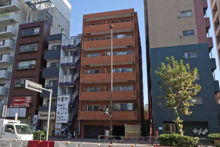 ライオンズマンション蒲田の外観(西側)