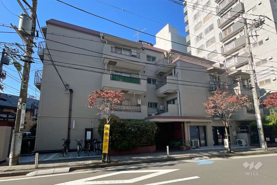 セザール蒲田の外観（北東側から）