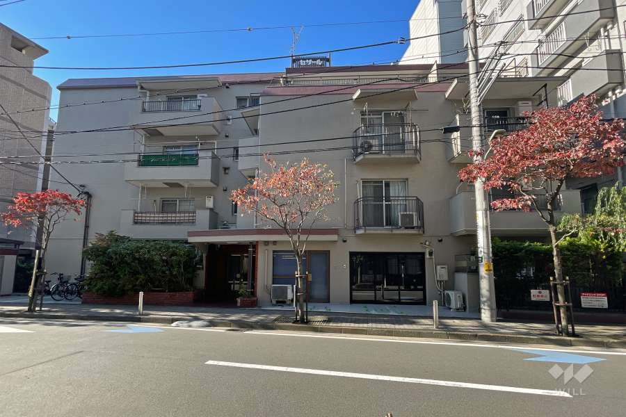 セザール蒲田の外観（北西側から）