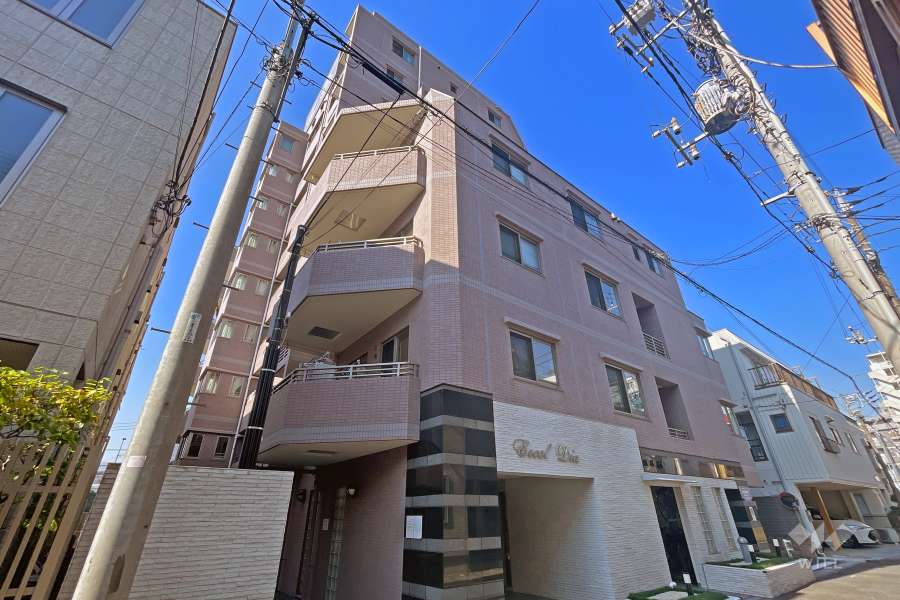 エクセルダイア南蒲田2の外観（南東側から）