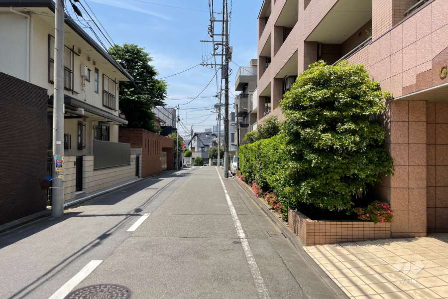 敷地南側の前面道路