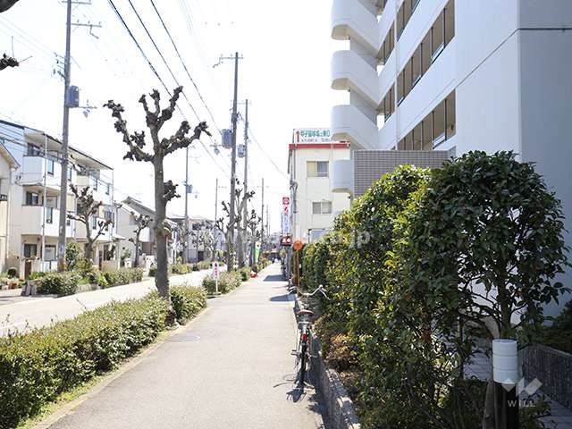 敷地北側、道路に面して植栽スペースが設けられています。