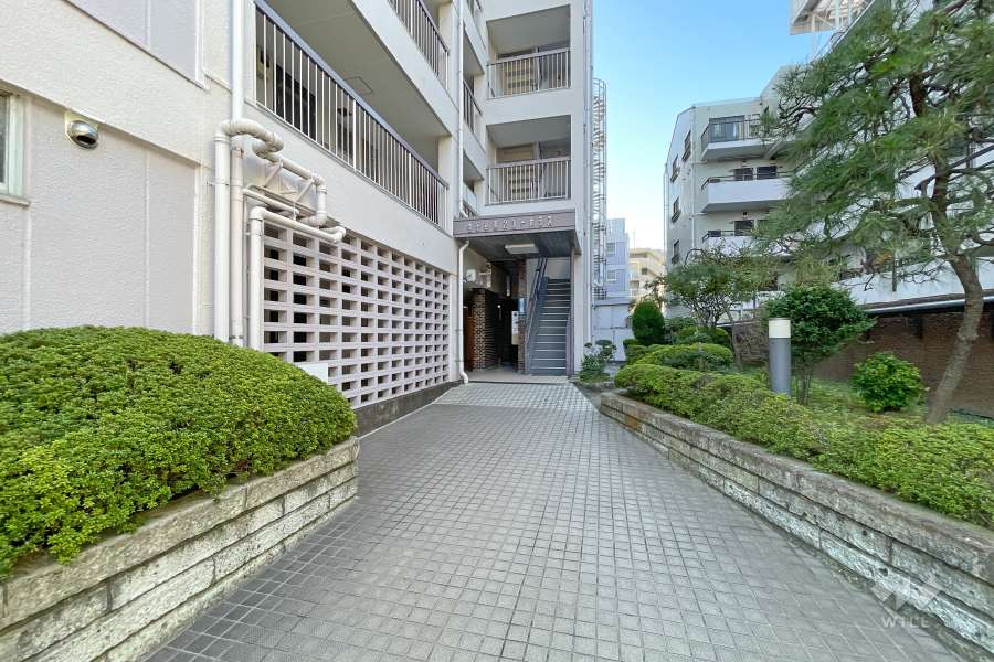 エントランスアプローチ