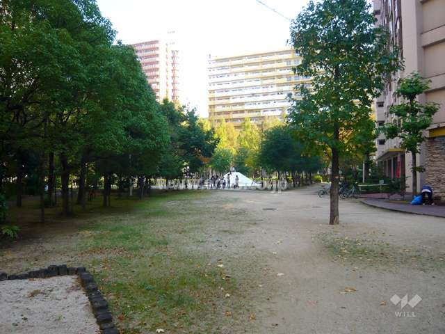 共用部分。木々が多く、奥は公園になっています。